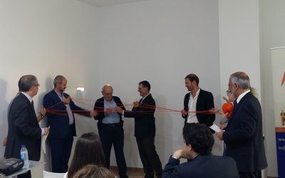 Relaciones familiares en la empresa familiar: Confusión de roles