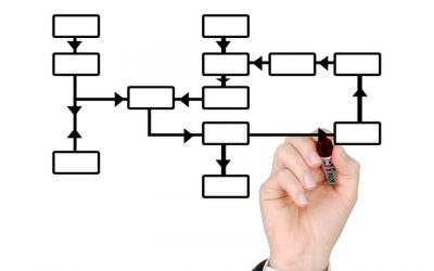 La gestión por procesos (I)
